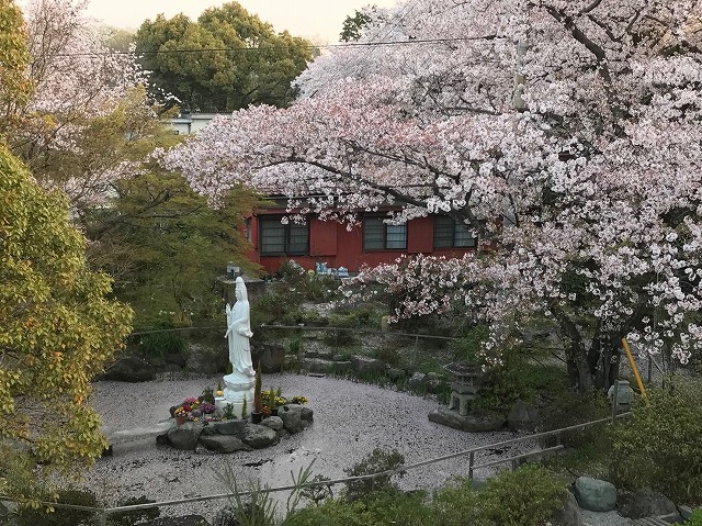 徳林寺　永代供養墓－観音様